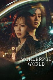 Wonderful World (2024)
